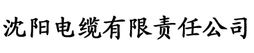 校花小雪与三个门卫老头电缆厂logo